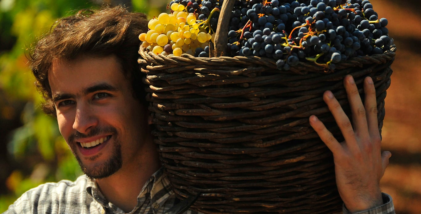 Cast Off Croatia Wine Tours - Luxury Private Yacht Charter