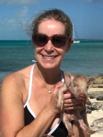 Frolic with wild, but friendly – pigs