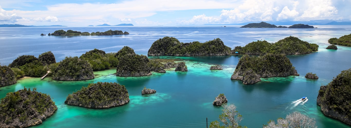 Raja Ampat Liveaboard Charter on Gaia Love