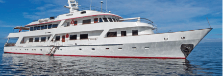 Galapagos Luxury Yacht Charter on Passion
