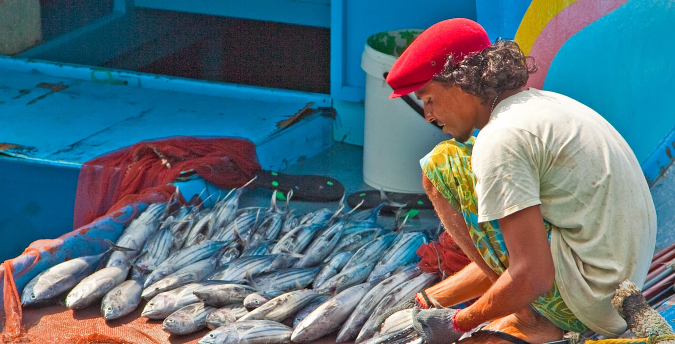 Maldives fish market