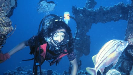 Scuba diving in he Virgin Islands