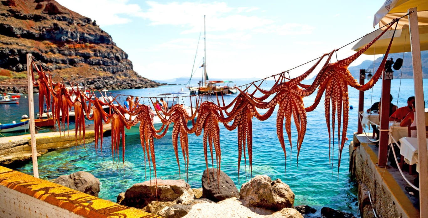 squiddrying in the sun - Greece